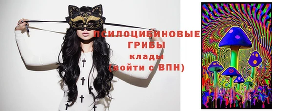 мескалин Бородино