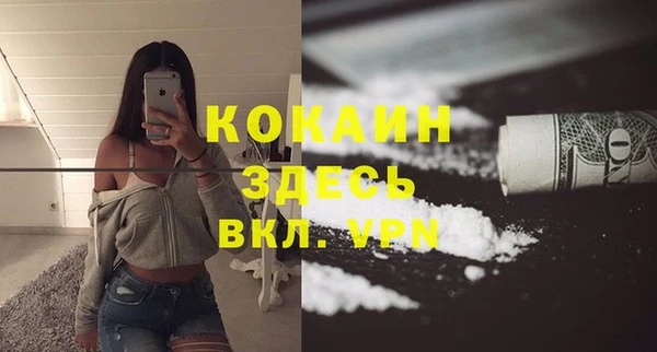ПСИЛОЦИБИНОВЫЕ ГРИБЫ Бронницы