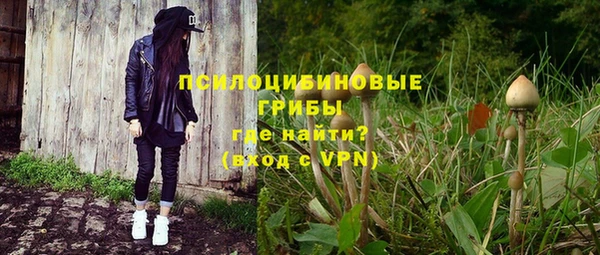 ПСИЛОЦИБИНОВЫЕ ГРИБЫ Бронницы